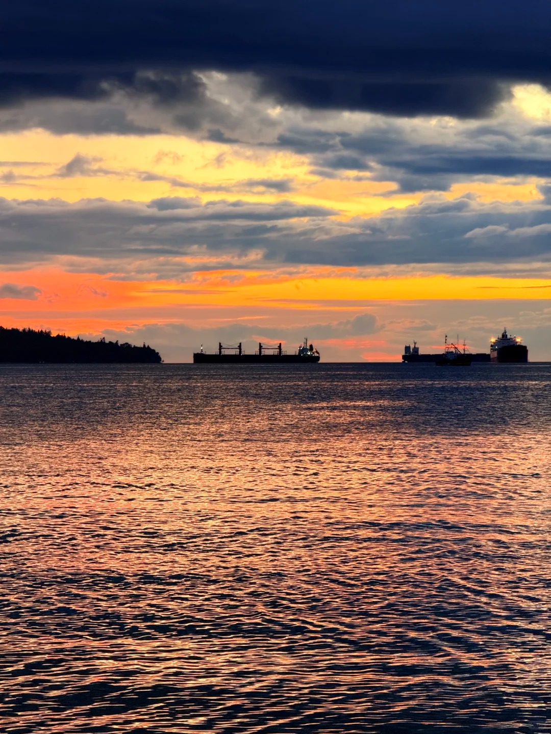 🇨🇦8.6雨后夕阳像油画_3_Milo_来自小红书网页版.jpg