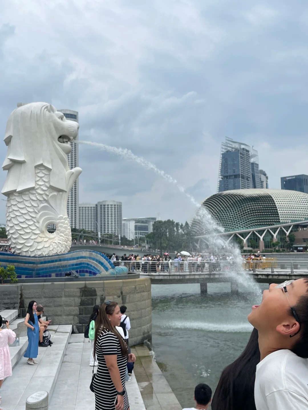 新加坡～见到了丑萌丑萌的地标鱼尾狮_4_一个想想想_来自小红书网页版.jpg