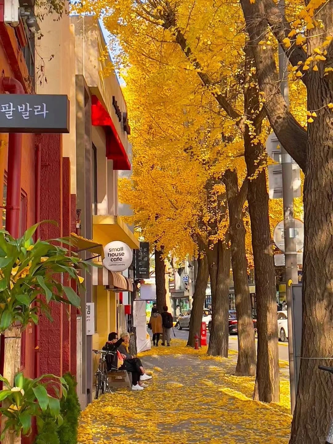 🇰🇷首尔秋天最浪漫的打开方式🍁_1_KYTOUR旅游咨询_来自小红书网页版.jpg