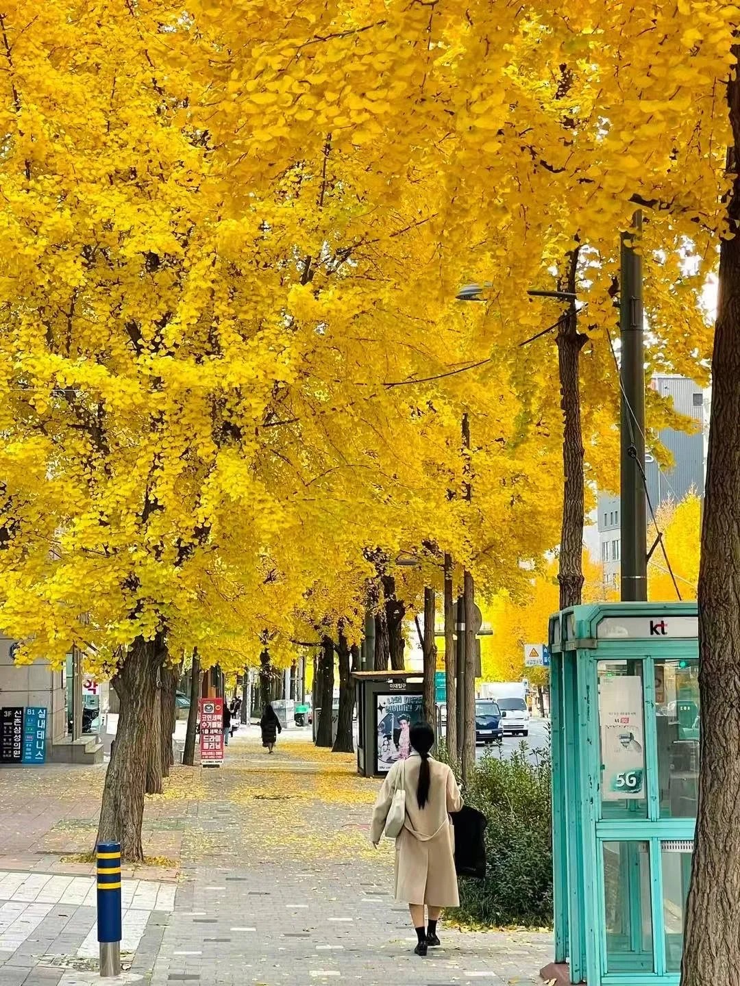 🇰🇷首尔秋天最浪漫的打开方式🍁_9_KYTOUR旅游咨询_来自小红书网页版.jpg
