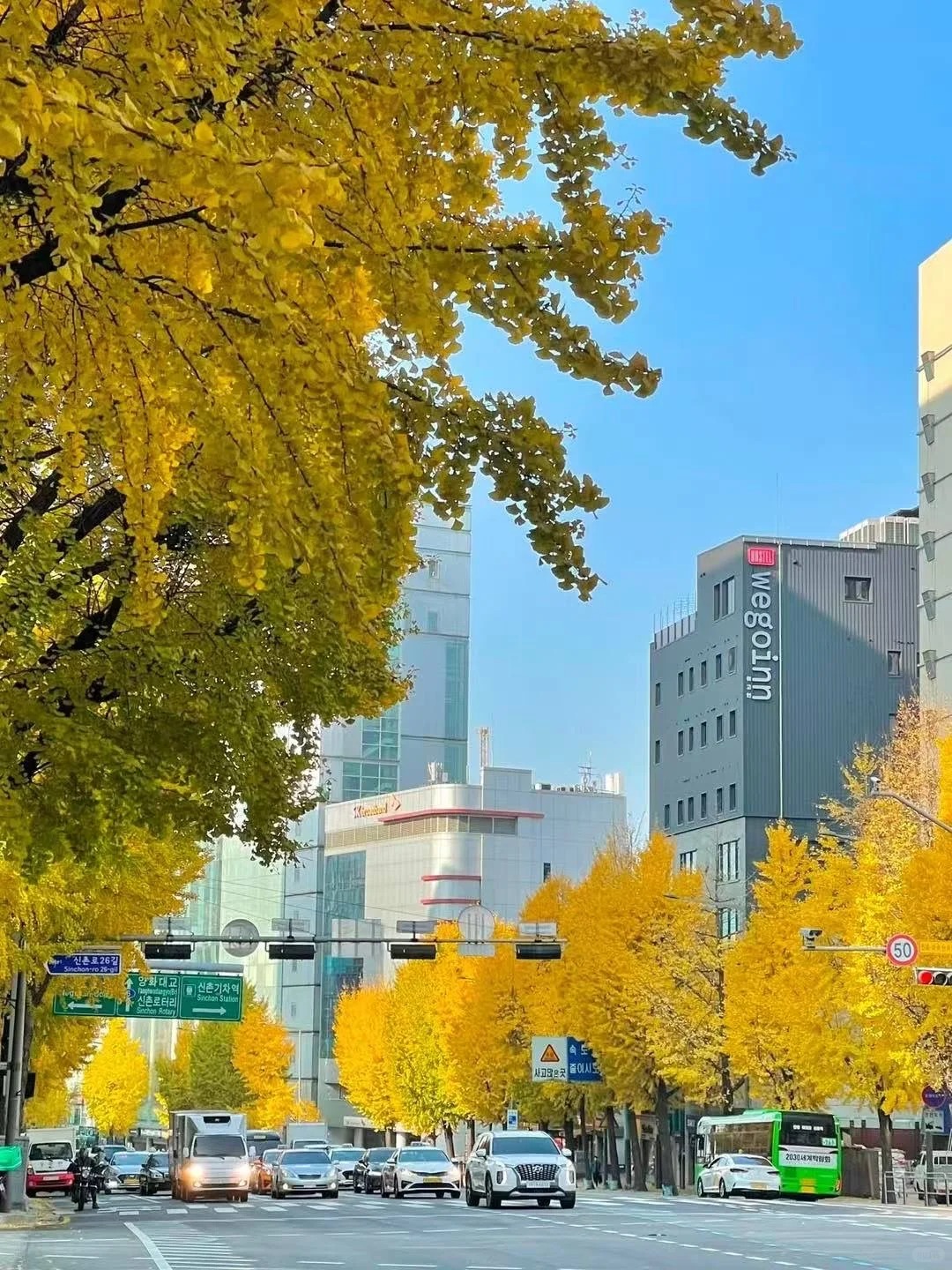 🇰🇷首尔秋天最浪漫的打开方式🍁_10_KYTOUR旅游咨询_来自小红书网页版.jpg