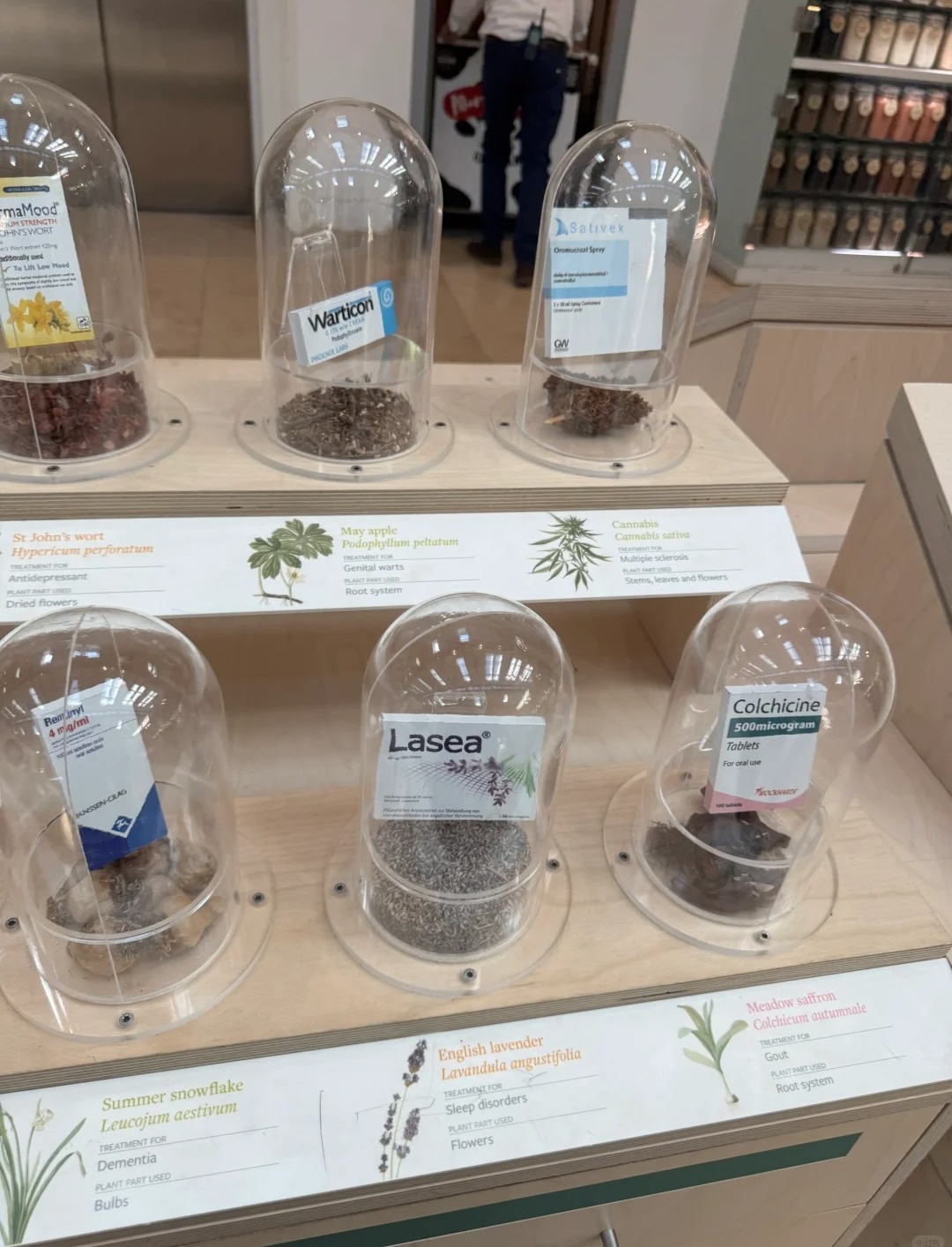 伦敦周边紫藤秘境RHS Garden Wisley_18_打喷嚏冠军_来自小红书网页版.jpg