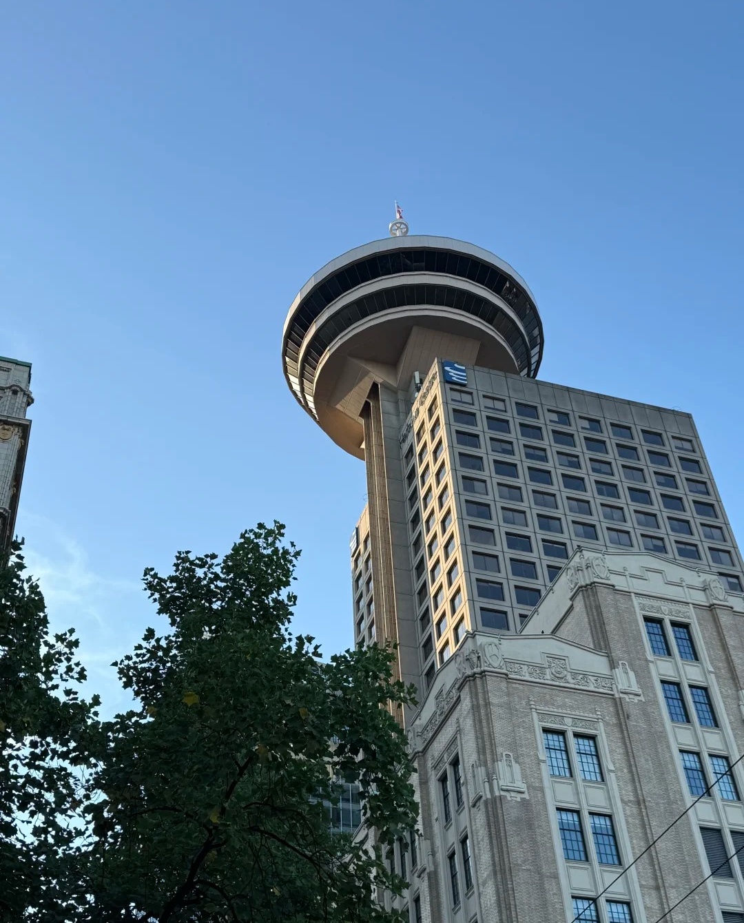 🇨🇦Citywalk_17_wyx🌻_来自小红书网页版.jpg