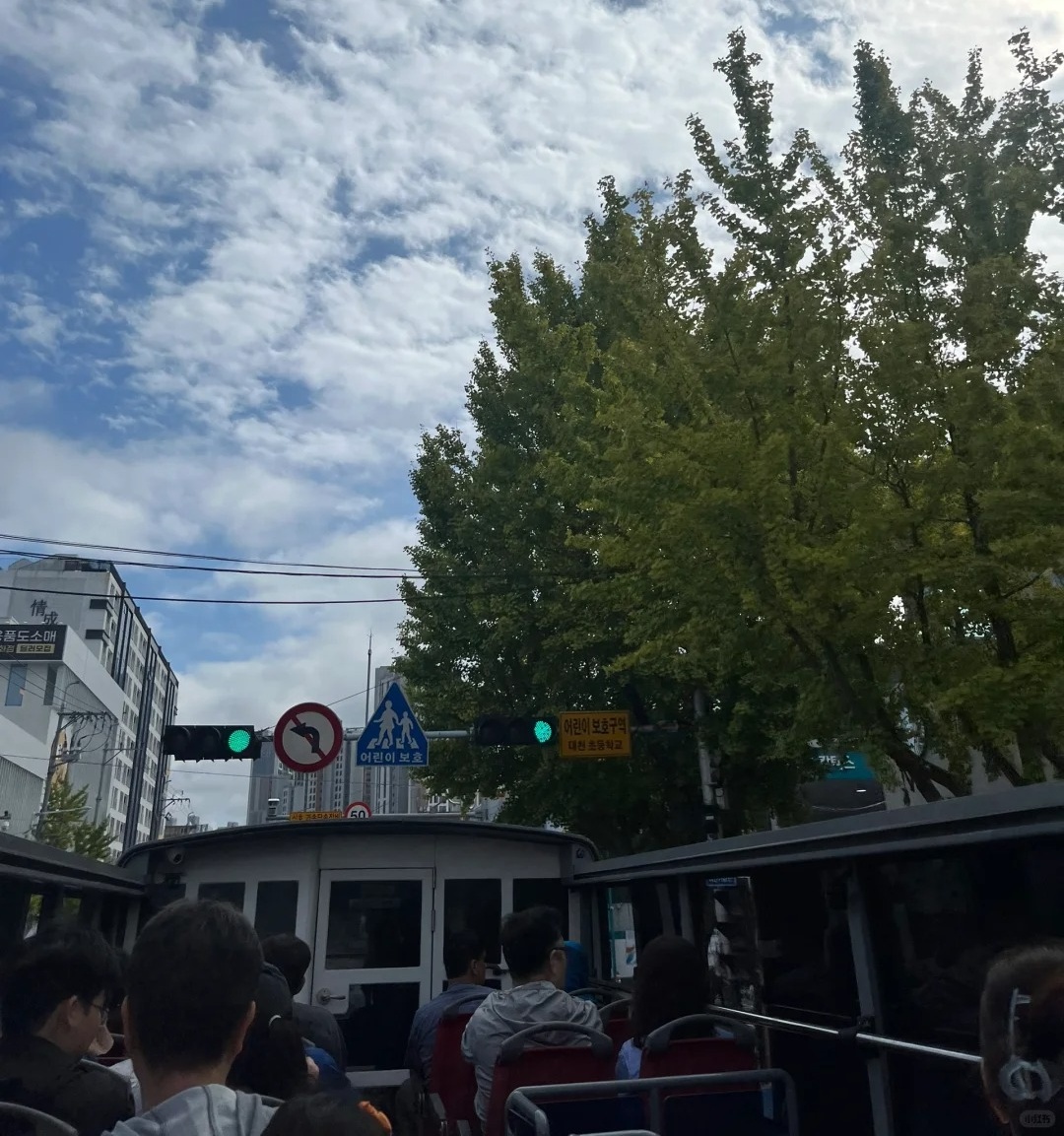 不愧是我们，天选小韩🇰🇷旅游选手🫡_2_起司猫mimi_来自小红书网页版.jpg
